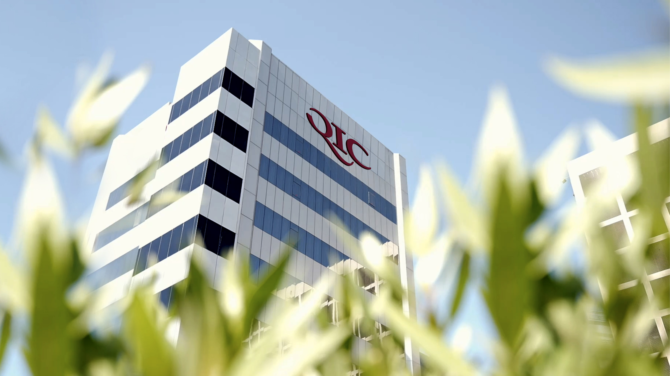 Digital Insurer of the Year